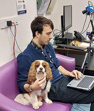 person with dog sat by side working on laptop